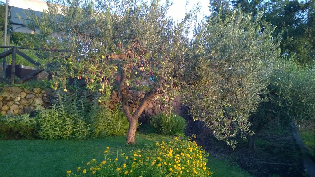 Seacily Etna House Vila Piedimonte Etneo Quarto foto